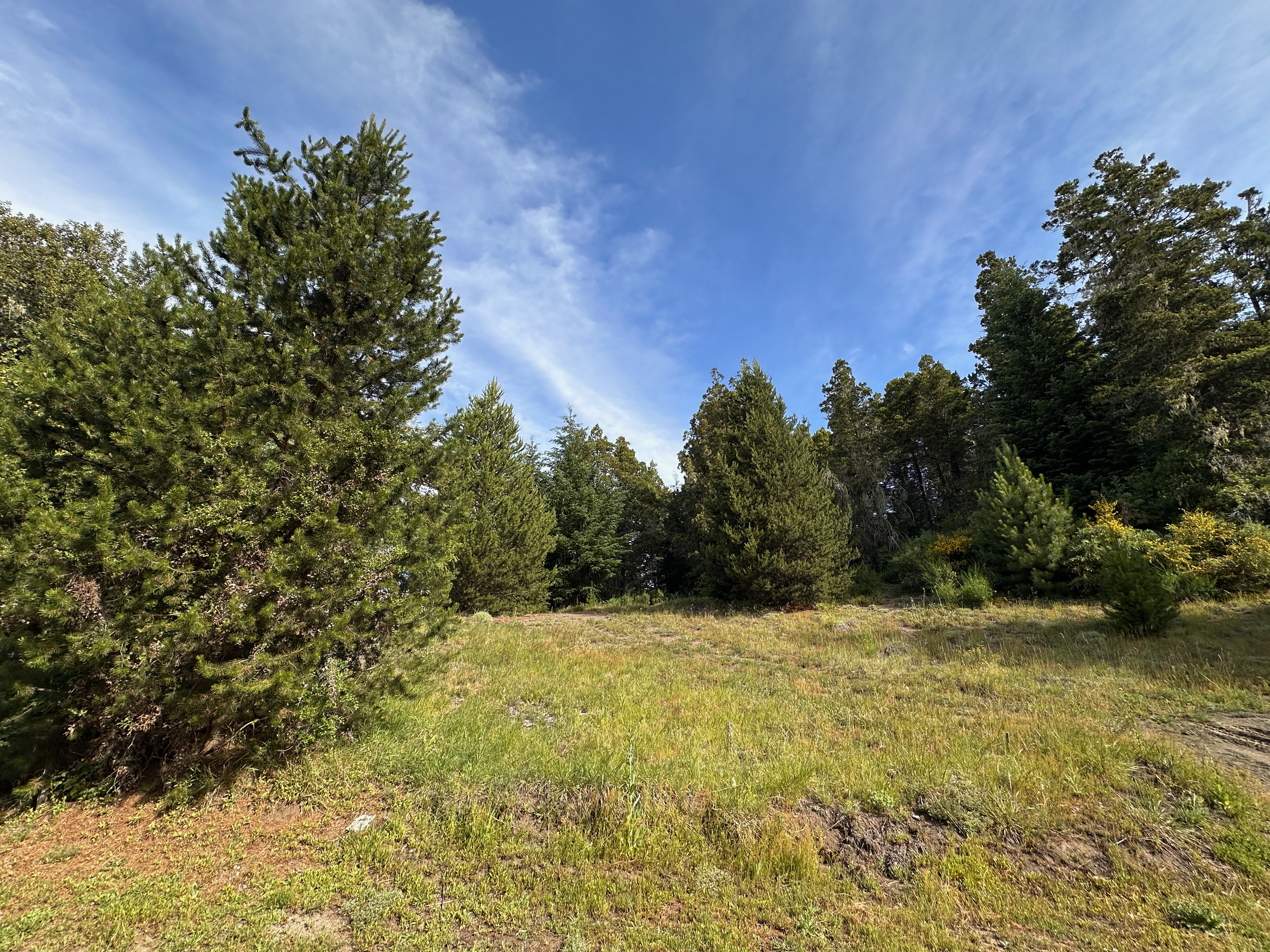 T220 - Excelente lote de 2994 m2 - La Reserva Baja