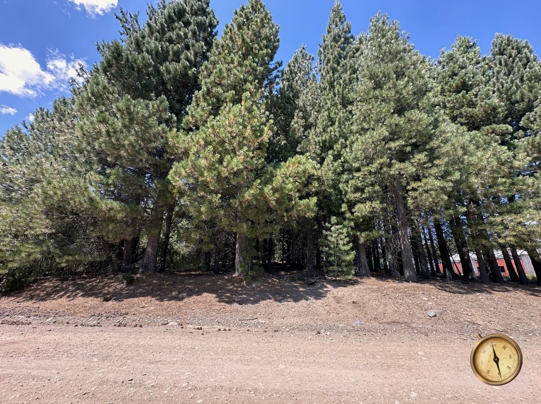 T221 - Excelentes lotes en Chapelco Golf - Mza C