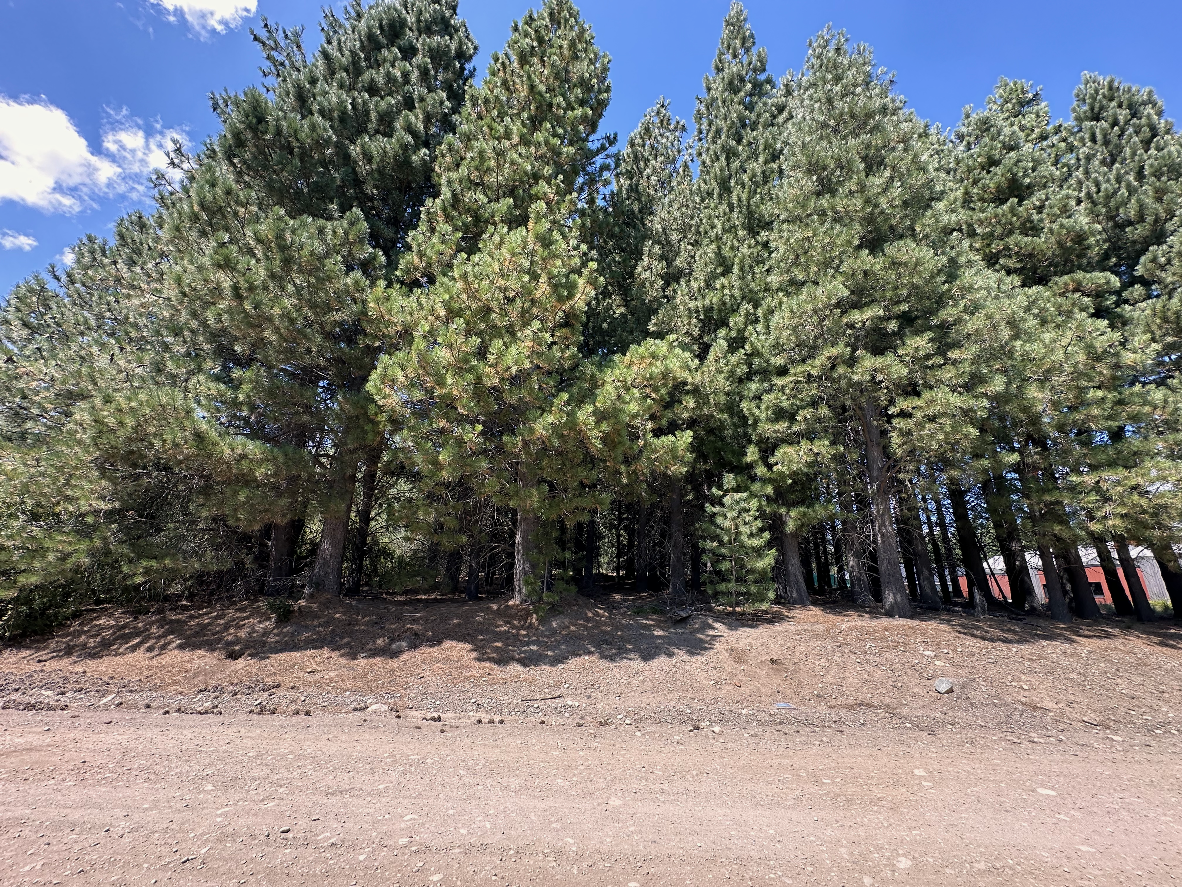 T221 - Excelentes lotes en Chapelco Golf - Mza C