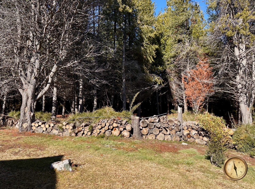 T232 - Exclusivos lotes  de 1500 m2 - Chihuallanca - Lago Lolog 