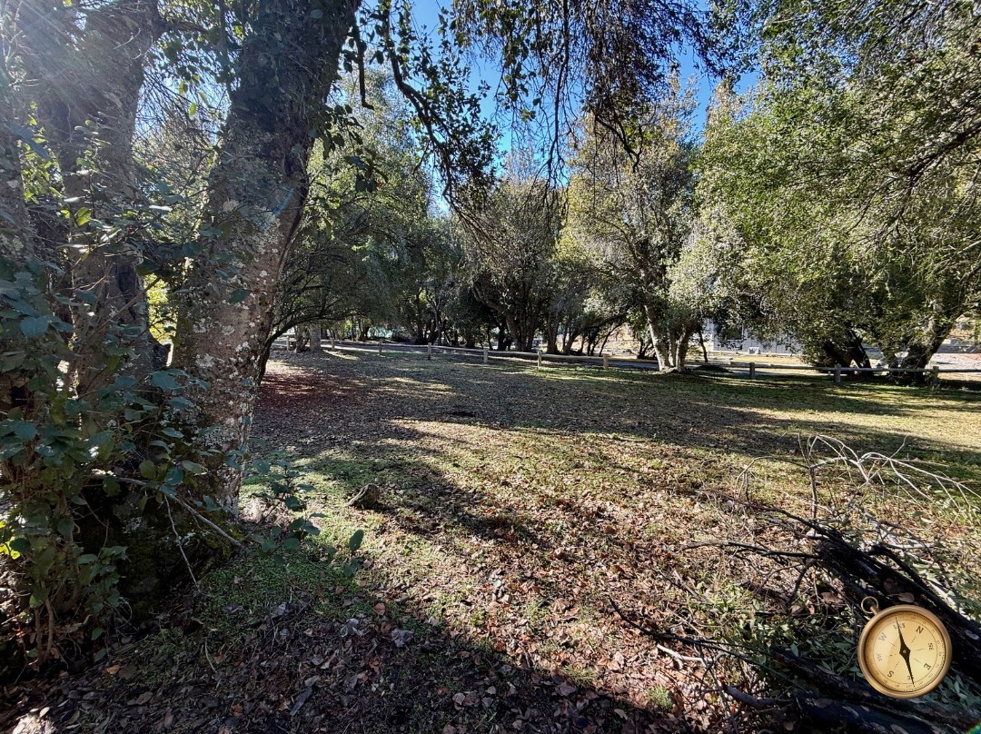 T232 - Exclusivos lotes  de 1500 m2 - Chihuallanca - Lago Lolog 