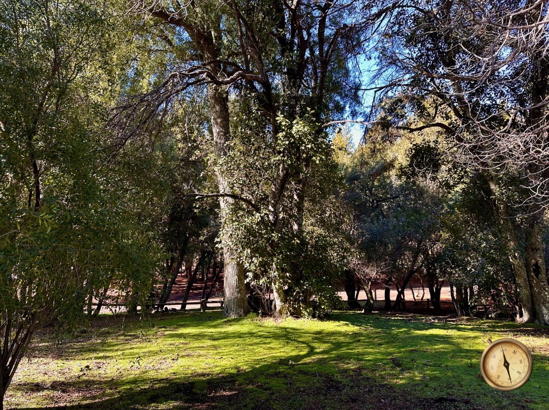 T232 - Exclusivos lotes  de 1500 m2 - Chihuallanca - Lago Lolog 