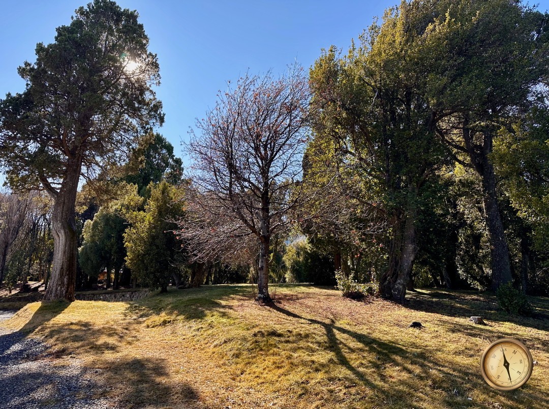 T232 - Exclusivos lotes  de 1500 m2 - Chihuallanca - Lago Lolog 
