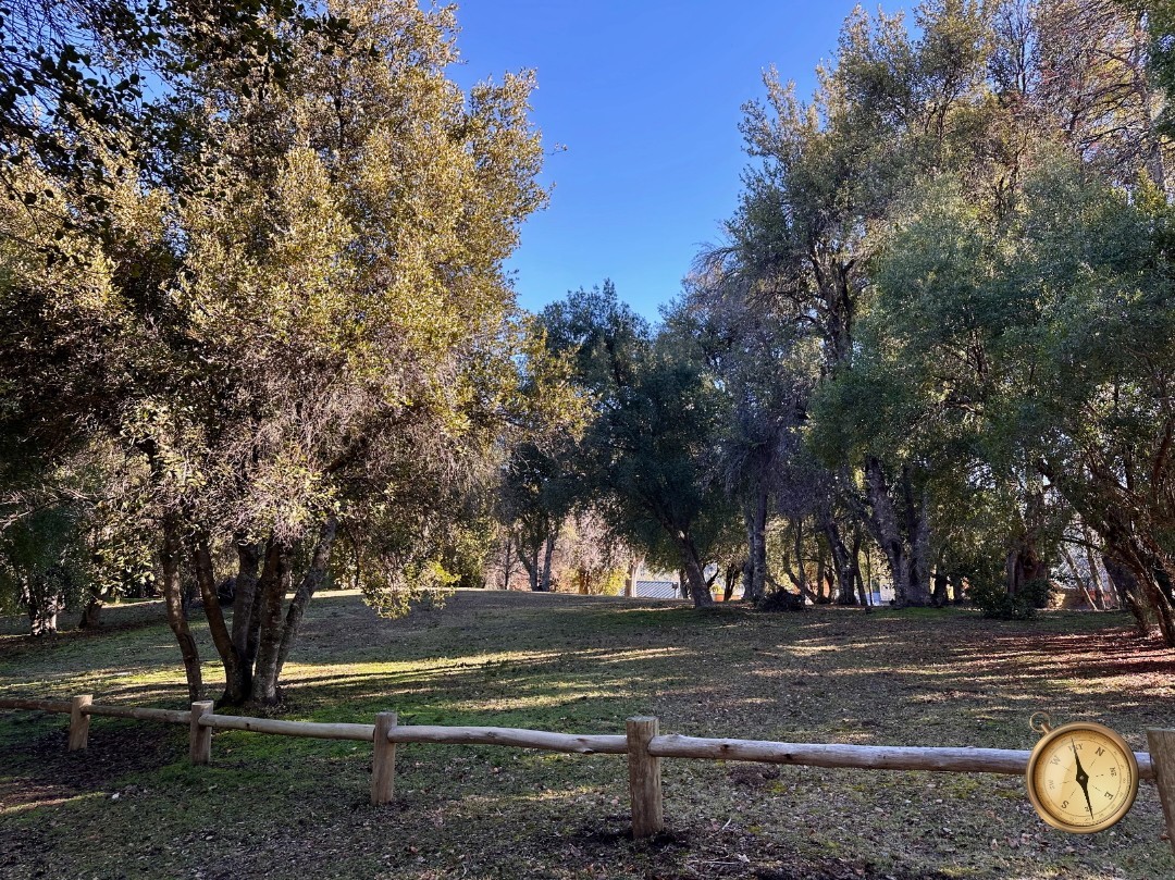 T232 - Exclusivos lotes  de 1500 m2 - Chihuallanca - Lago Lolog 