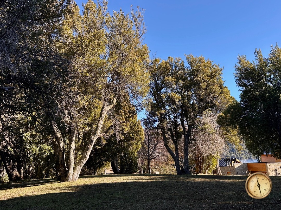 T232 - Exclusivos lotes  de 1500 m2 - Chihuallanca - Lago Lolog 
