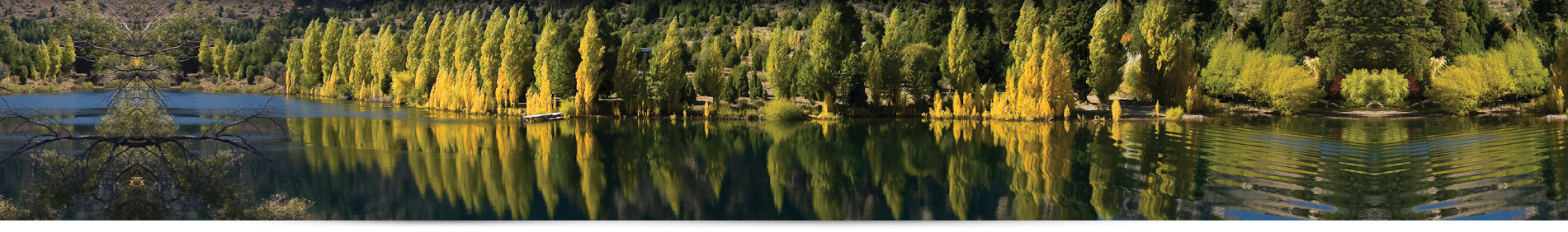 servicios-image